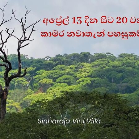 Sinharaja Vini Villa Deniyaya Eksteriør bilde