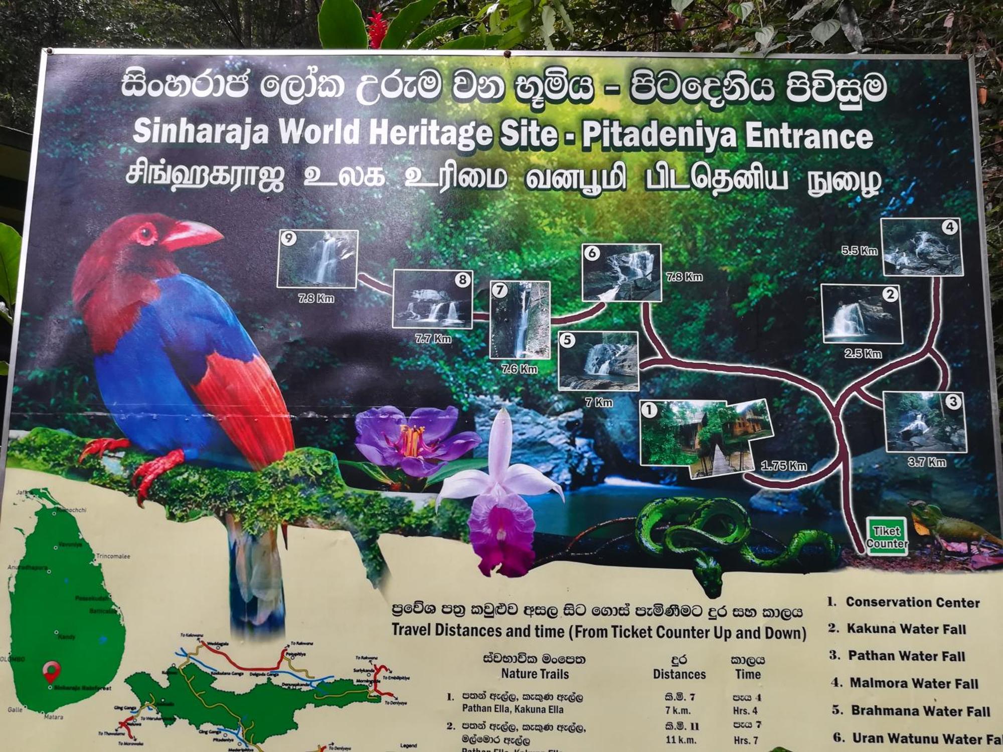 Sinharaja Vini Villa Deniyaya Rom bilde